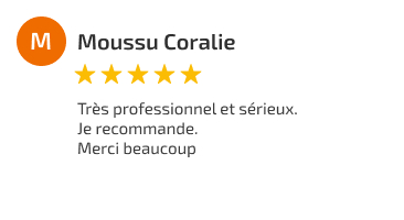 Avis Google
