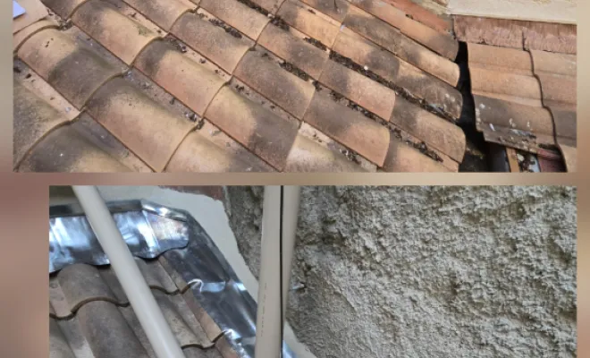 Réparation d'étanchéité de la couverture à Sérignan, Sérignan, FAZ Concept